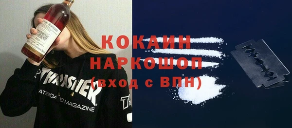 шишки Михайловск