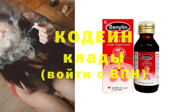 шишки Михайловск