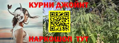 молекула духа Берёзовский