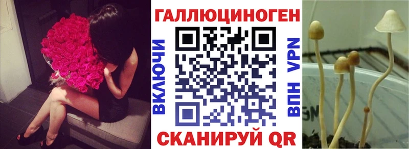 дарк нет как зайти  купить наркоту  ссылка на мегу маркетплейс  Владикавказ  Галлюциногенные грибы GOLDEN TEACHER 