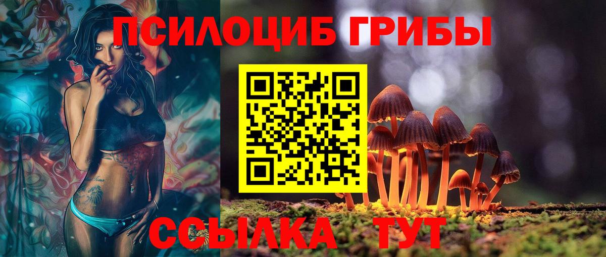 Псилоцибиновые грибы GOLDEN TEACHER  Владикавказ  Галлюциногенные грибы мицелий 