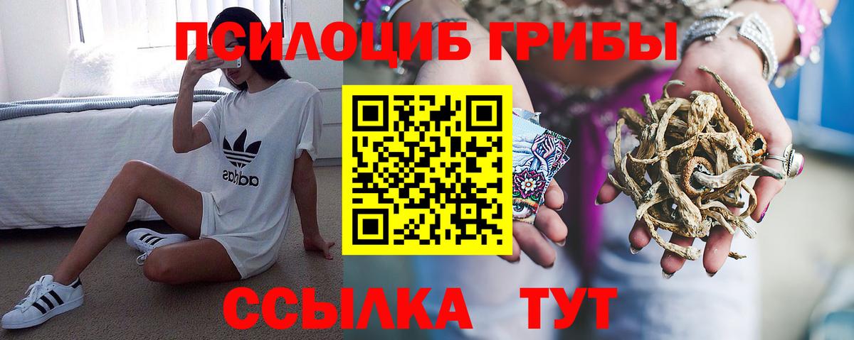 Псилоцибиновые грибы Psilocybine cubensis Владикавказ